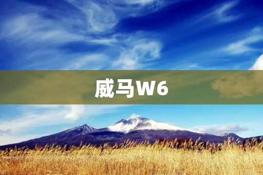 威马W6:高颜值电动SUV的完美代表 威马W6:高颜值电动SUV的完美代表