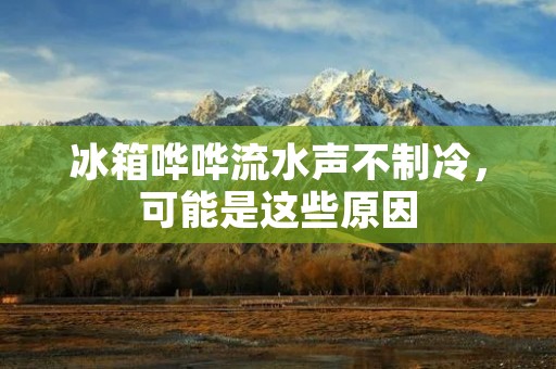 冰箱哗哗流水声不制冷,可能是这些原因 冰箱哗哗流水声不制冷,可能是这些原因