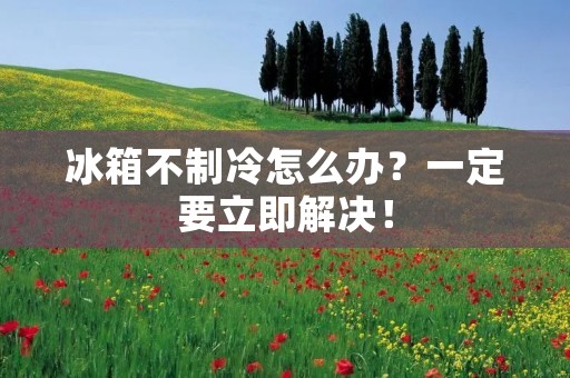 冰箱不制冷怎么办？一定要立即解决！