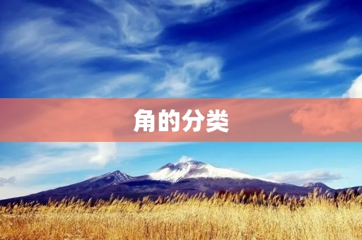 角的分类：了解不同类型的角及其特征