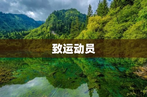 致运动员：坚持训练，才能赢得胜利