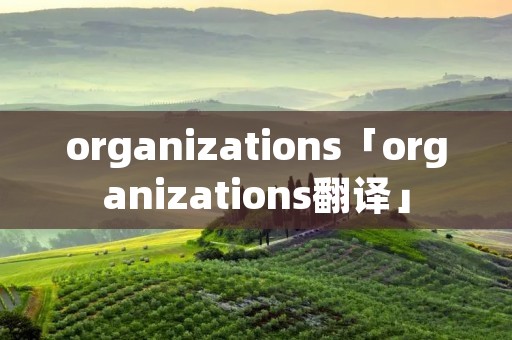 organizations「organizations翻译」