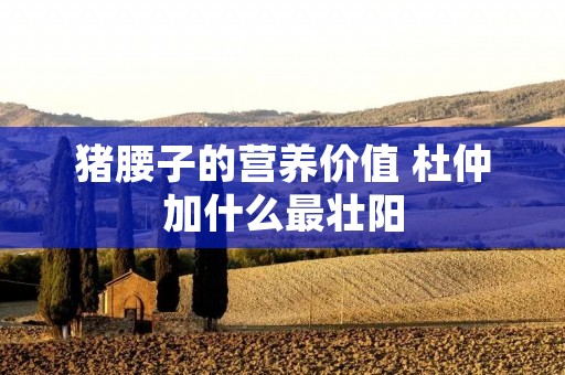 猪腰子的营养价值 杜仲加什么最壮阳