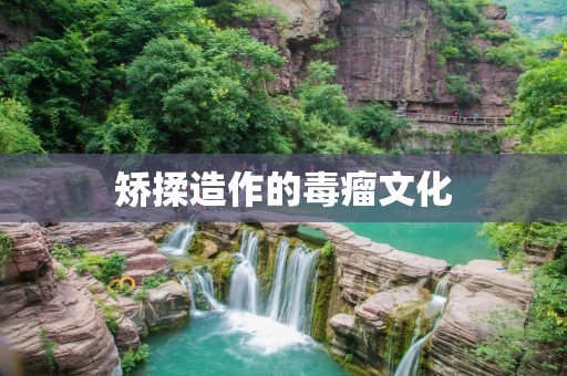 矫揉造作的毒瘤文化 矫揉造作的毒瘤文化