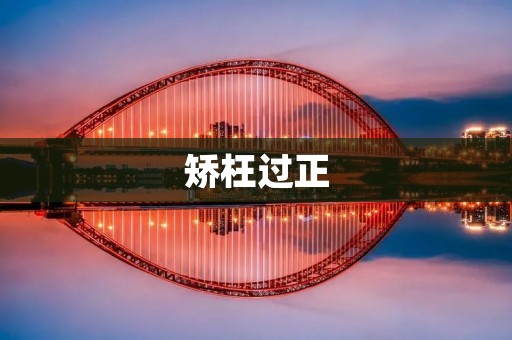 矫枉过正：从过度强调到失衡