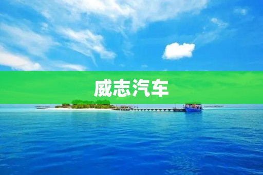 威志汽车:打造中国汽车品牌的领跑者 威志汽车:打造中国汽车品牌的领跑者