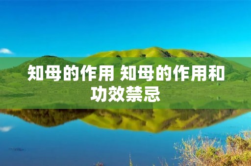 知母的作用 知母的作用和功效禁忌 知母的作用 知母的作用和功效禁忌