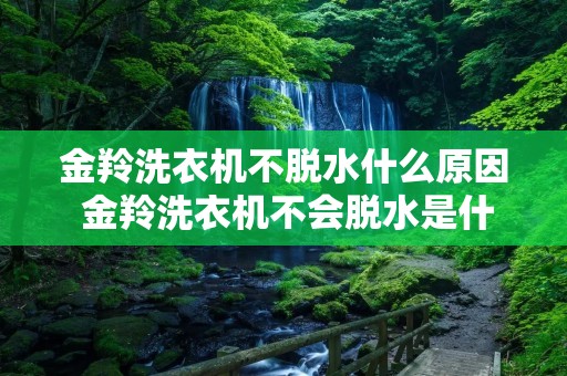 金羚洗衣机不脱水什么原因 金羚洗衣机不会脱水是什么原因