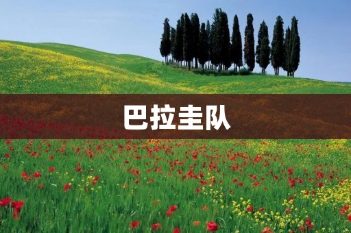 巴拉圭队:南美洲的足球强国 巴拉圭队:南美洲的足球强国