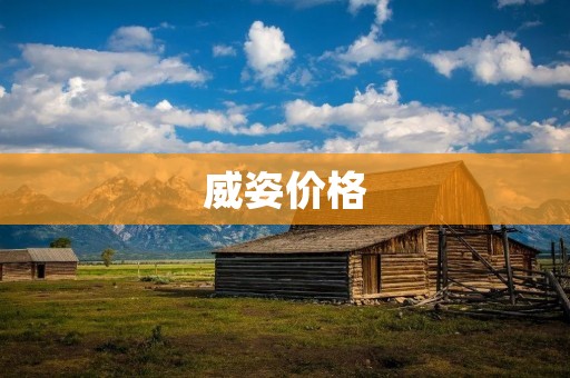 威姿价格:如何正确选择适合自己的产品 威姿价格:如何正确选择适合自己的产品