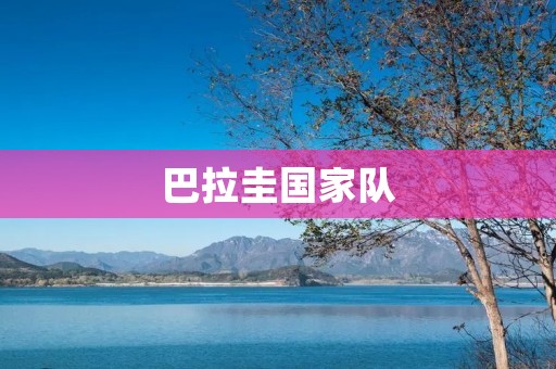 巴拉圭国家队：南美洲足球强国的代表