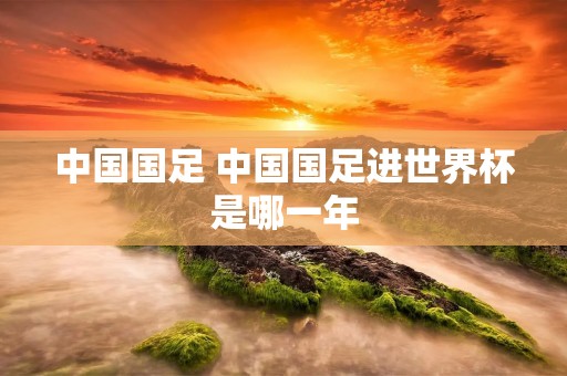 中国国足 中国国足进世界杯是哪一年 中国国足 中国国足进世界杯是哪一年