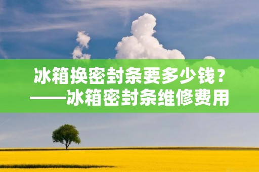 冰箱换密封条要多少钱？——冰箱密封条维修费用详解