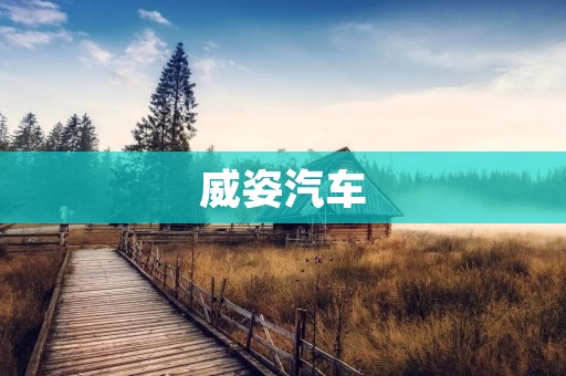 威姿汽车：专注于为消费者打造高品质的豪华汽车