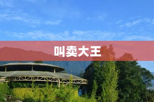 叫卖大王：一个神秘的传奇人物