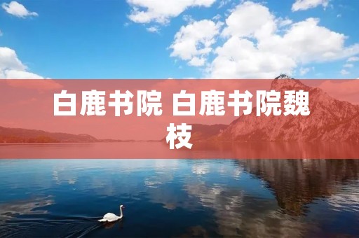 白鹿书院 白鹿书院魏枝