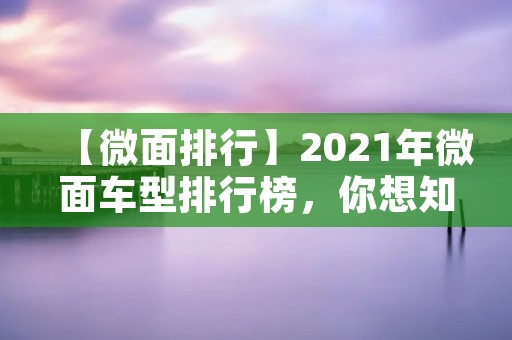 【微面排行】2021年微面车型排行榜，你想知道的全在这里！