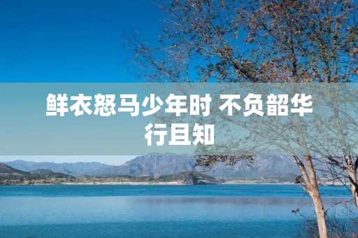 鲜衣怒马少年时 不负韶华行且知 鲜衣怒马少年时 不负韶华行且知