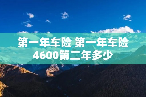 第一年车险 第一年车险4600第二年多少