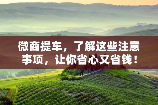 微商提车,了解这些注意事项,让你省心又省钱! 微商提车,了解这些注意事项,让你省心又省钱!