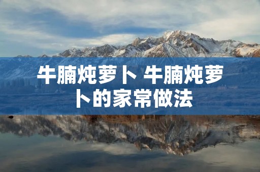 牛腩炖萝卜 牛腩炖萝卜的家常做法