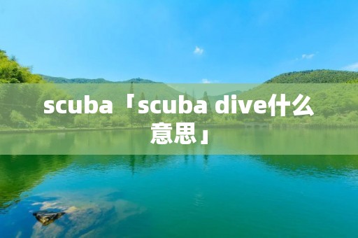 scuba「scuba dive什么意思」