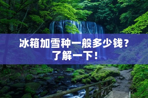 冰箱加雪种一般多少钱？了解一下！
