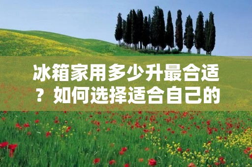 冰箱家用多少升最合适?如何选择适合自己的冰箱? 冰箱家用多少升最合适?如何选择适合自己的冰箱?