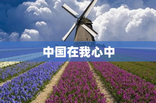 中国在我心中