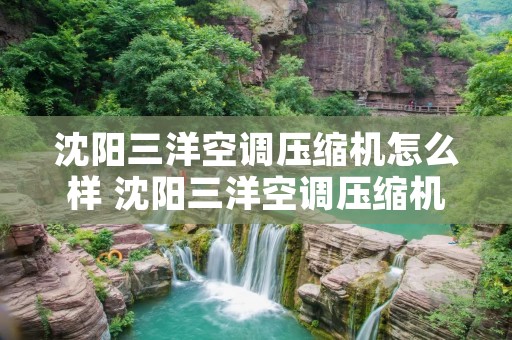 沈阳三洋空调压缩机怎么样 沈阳三洋空调压缩机怎么样啊
