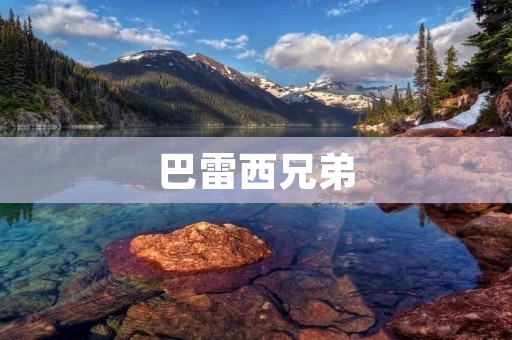 巴雷西兄弟：创造音乐历史的天才