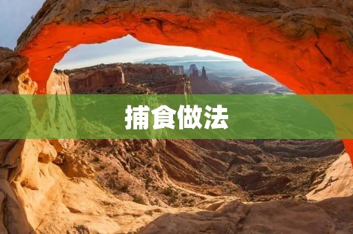 捕食做法:如何在野外生存中获得食物 捕食做法:如何在野外生存中获得食物