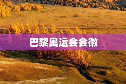巴黎奥运会会徽:一张融合了法国文化与现代设计的艺术之作 巴黎奥运会会徽:一张融合了法国文化与现代设计的艺术之作