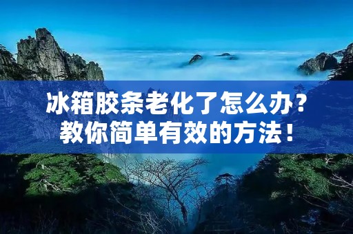 冰箱胶条老化了怎么办？教你简单有效的方法！