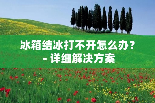 冰箱结冰打不开怎么办？ - 详细解决方案
