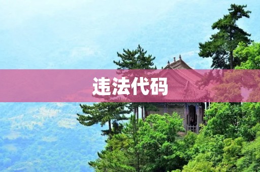 违法代码:如何避免程序员的法律风险 违法代码:如何避免程序员的法律风险