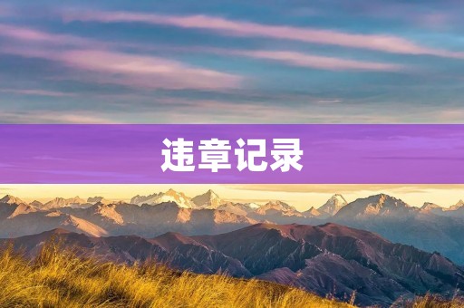 违章记录:如何避免和处理? 违章记录:如何避免和处理?