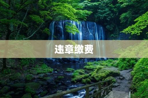 违章缴费：让交通规则更有力量