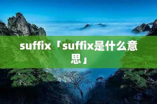 suffix「suffix是什么意思」
