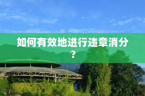 如何有效地进行违章消分? 如何有效地进行违章消分?