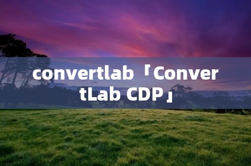 convertlab「ConvertLab CDP」 convertlab「ConvertLab CDP」