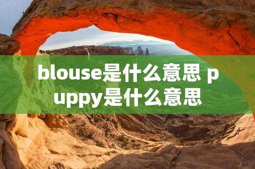 blouse是什么意思 puppy是什么意思