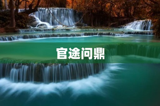 官途问鼎:如何成为职场中的佼佼者?