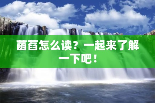 菡萏怎么读?一起来了解一下吧!