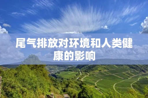尾气排放对环境和人类健康的影响