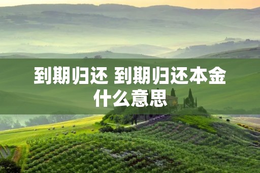 到期归还 到期归还本金什么意思