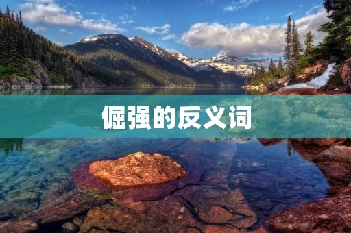 倔强的反义词:柔顺