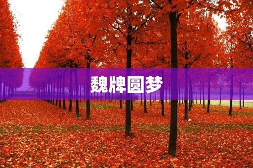魏牌圆梦：传承创新，以匠心铸就品牌