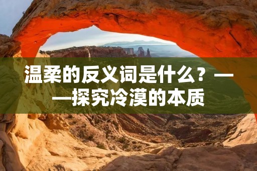 温柔的反义词是什么?——探究冷漠的本质