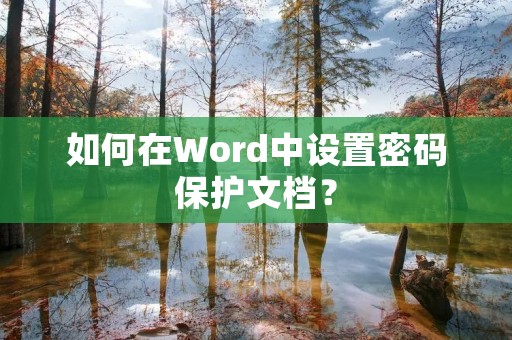 如何在Word中设置密码保护文档？